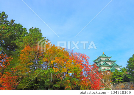 愛知縣名古屋市名古屋城的秋景 134518369