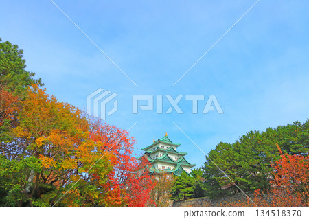 愛知縣名古屋市名古屋城的秋景 134518370