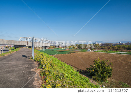 View of vegetable fields from the Katsura River bank, Kyoto City 134518707