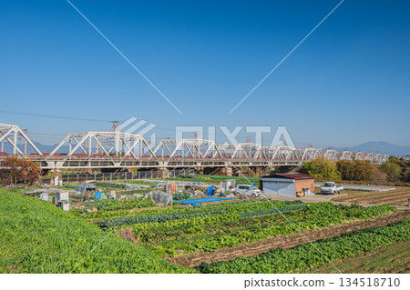 京都市,東海道新幹線鐵路橋橫跨桂川,河岸邊可見菜園。 京都市,東海道新幹線鐵路橋橫跨桂川,河岸邊可見菜園。 134518710