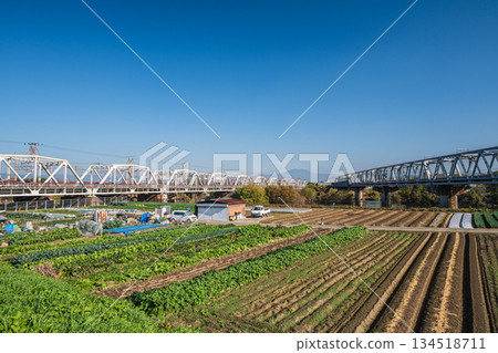 Tokaido Line railway bridge over the Katsura River and vegetable fields on the riverbank, Kyoto City Tokaido Line railway bridge over the Katsura River and vegetable fields on the riverbank, Kyoto City 134518711