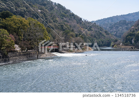 Spring scenery of the upper reaches of the Uji River seen from Asagiri Bridge, Uji City, Kyoto Prefecture 134518736