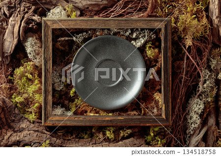 Abstract natural composition featuring lichen, moss, and dry snags. Abstract natural composition featuring lichen, moss, and dry snags. 134518758