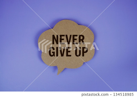 Never Give Up text with speech bubble top view on purple background Never Give Up text with speech bubble top view on purple background 134518985
