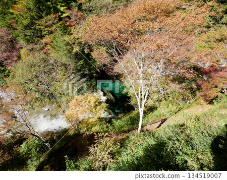 The clear emerald green waterfall basin seen through the gaps in the autumn leaves The clear emerald green waterfall basin seen through the gaps in the autumn leaves 134519007