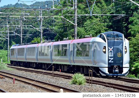 東海道本線、二宮神津、JR東日本、E259系列、Ne011編組（鎌倉）、Marine Express Odoriko 134519236