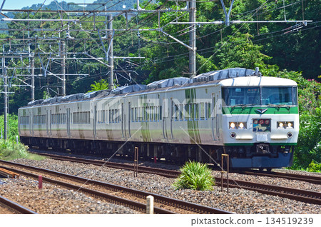 東海道本線、二宮神津、JR東日本、185系列、OM08編組（大宮）、大通子 134519239