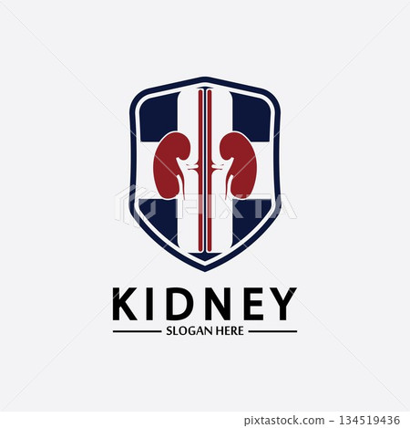 Kidney Shield Logo Template Design Vector, Emblem, Design Concept, Creative Symbol, Icon. Kidney Shield Logo Template Design Vector, Emblem, Design Concept, Creative Symbol, Icon. 134519436