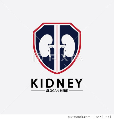 Kidney Shield Logo Template Design Vector, Emblem, Design Concept, Creative Symbol, Icon. 134519451