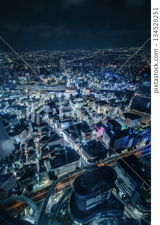 東京：池袋陽光之城夜景 134520251