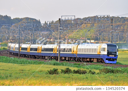 總武本線、櫻花井、JR東日本、255系、Be-03編組（幕張）、若潮、笹併 134520374