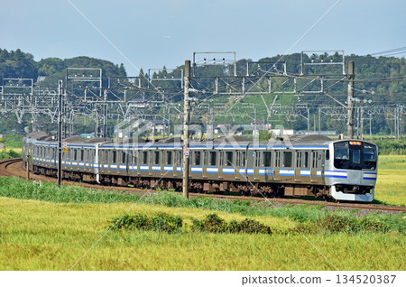 總武本線 Sakura-Monoi JR East E217 系列 Y-115 編隊（鎌倉） 134520387