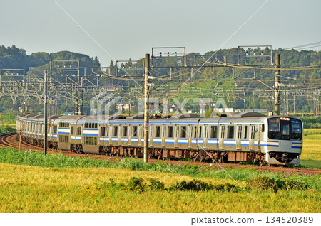 JR East E217 series Y-35 train (Kamakura) on the Sobu Main Line between Sakura and Monoi 134520389
