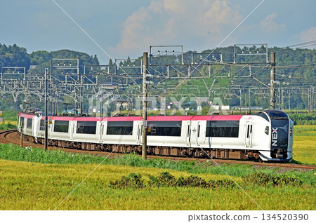 總武本線、櫻之物、JR東日本、E259系、NE001編組(鎌倉)、成田特快NEX 總武本線、櫻之物、JR東日本、E259系、NE001編組(鎌倉)、成田特快NEX 134520390