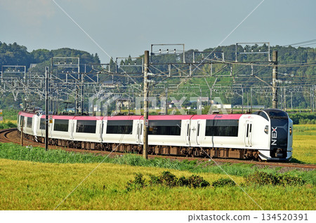 總武本線櫻花物之JR東E259系列Ne013編隊(鎌倉)成田特快NEX 134520391