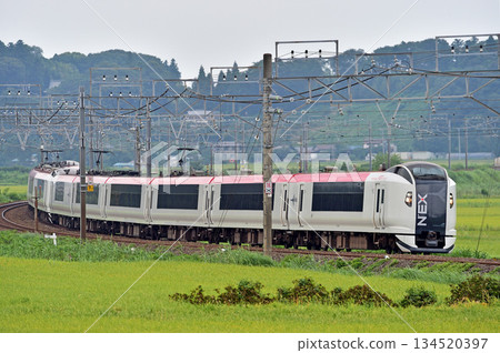 總武本線、櫻之物、JR東日本、E259系、NE003編組(鎌倉)、成田特快NEX 總武本線、櫻之物、JR東日本、E259系、NE003編組(鎌倉)、成田特快NEX 134520397