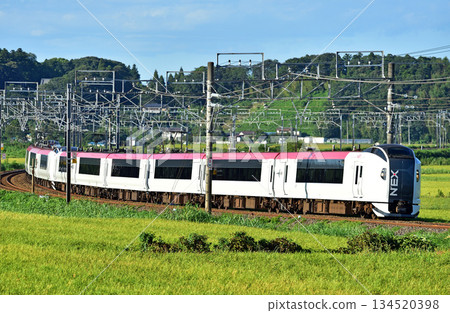 總武本線 櫻物井 JR東日本 E259系 Ne008（鎌倉） 成田特快NEX 134520398