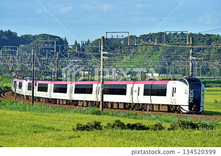總武本線、櫻之物、JR東日本、E259系、NE015編組(鎌倉)、成田特快NEX 總武本線、櫻之物、JR東日本、E259系、NE015編組(鎌倉)、成田特快NEX 134520399