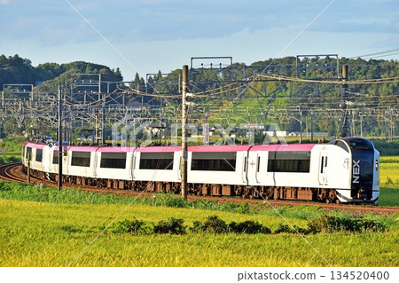 總武本線 櫻物線 JR東日本 E259系列 (鎌倉) 成田特快NEX 總武本線 櫻物線 JR東日本 E259系列 (鎌倉) 成田特快NEX 134520400