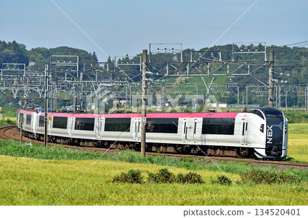Sobu Main Line, Sakura-Monoi, JR East, E259 series, Ne007 formation (Kamakura), Narita Express NEX Sobu Main Line, Sakura-Monoi, JR East, E259 series, Ne007 formation (Kamakura), Narita Express NEX 134520401