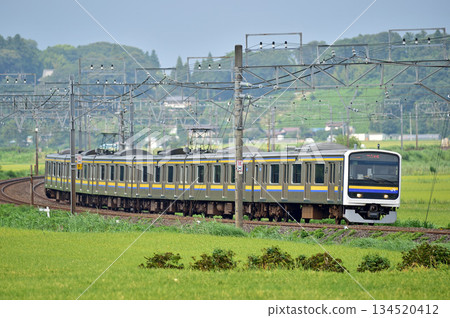 總武本線,櫻之物,JR東日本,209系,C617編組(幕張) 總武本線,櫻之物,JR東日本,209系,C617編組(幕張) 134520412