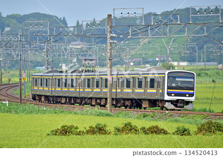 總武本線,櫻之物,JR東日本,209系,C418編組(幕張) 總武本線,櫻之物,JR東日本,209系,C418編組(幕張) 134520413