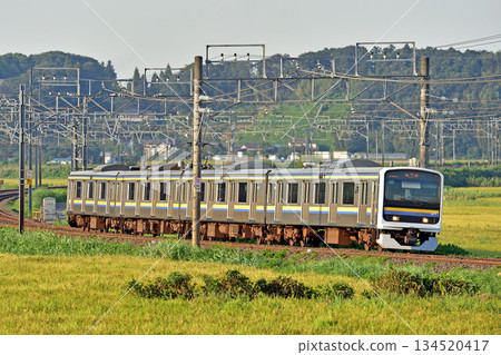 Sobu Main Line, Sakura-Monoi, JR East, 209 series, C409 formation (Makuhari) Sobu Main Line, Sakura-Monoi, JR East, 209 series, C409 formation (Makuhari) 134520417