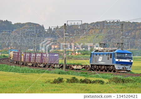 總武本線,櫻之物,JR貨運,EF210-6(岡山) 總武本線,櫻之物,JR貨運,EF210-6(岡山) 134520421