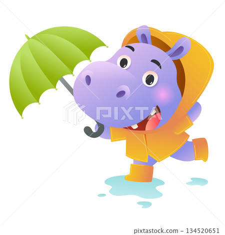A cute cartoon hippopotamus wearing a yellow raincoat and hat, holding a green umbrella, walking happily in the rain. 134520651