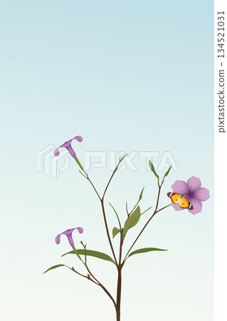 Minnieroot tree with a butterfly on a flower have blue sky vertical background graphic illustration have blank space. 134521031