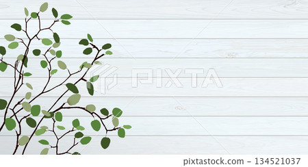 Tree branch with green leaves have white wooden wall background graphic illustration have blank space. 134521037