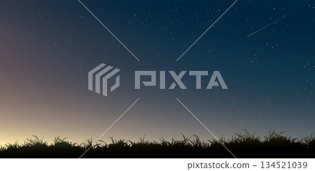 Silhouette grass field landscape at night with a lot of star and meteor background graphic illustration have blank space. 134521039