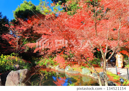 【京都】長岡天滿宮錦溪園(弁天池)的秋葉 【京都】長岡天滿宮錦溪園(弁天池)的秋葉 134521154