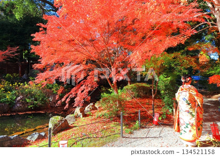 [Kyoto Prefecture] Autumn leaves at Kinkeien Garden (Benten Pond) of Nagaoka Tenmangu Shrine 134521158