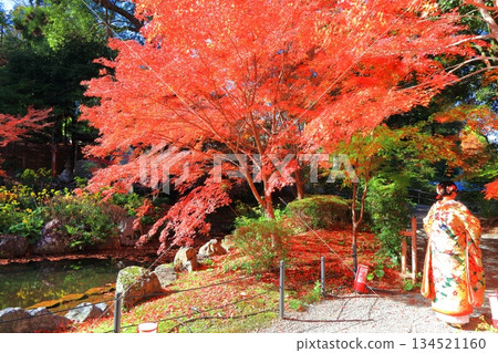 [Kyoto Prefecture] Autumn leaves at Kinkeien Garden (Benten Pond) of Nagaoka Tenmangu Shrine 134521160