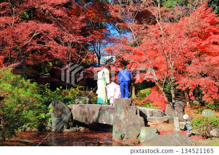 [Kyoto Prefecture] Autumn leaves at Kinkeien Garden (Benten Pond) of Nagaoka Tenmangu Shrine 134521165