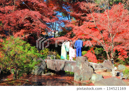【京都】長岡天滿宮錦溪園（弁天池）的秋葉 134521169