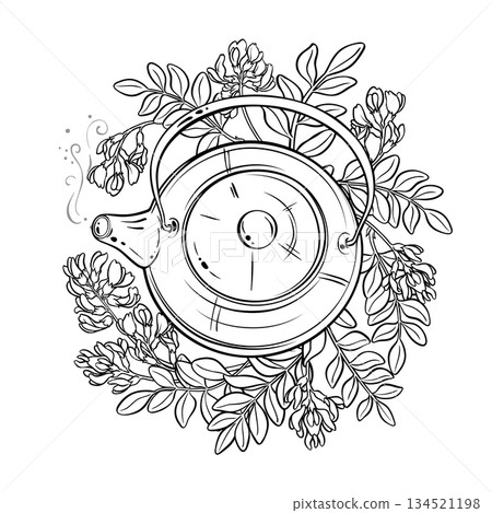 Astragalus Tea in Teapot Outline Illustration. 134521198