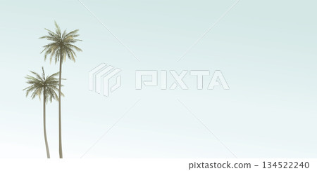 Coconut palm trees with blue sky background graphic illustration have blank space. Coconut palm trees with blue sky background graphic illustration have blank space. 134522240