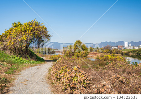 京都桂川河岸的冬季景色 134522535