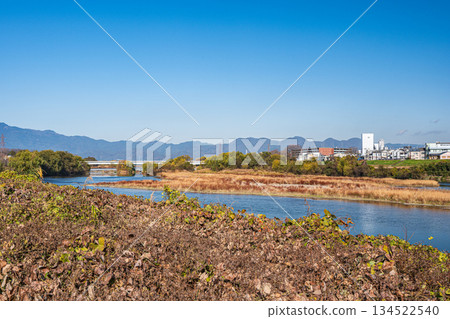Winter scenery of the Katsura River riverbank, Kyoto City 134522540