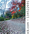 公園的秋葉 134522691
