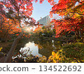 秋天的花園被秋葉包圍 134522692