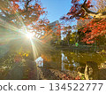 陽光透過秋葉的縫隙灑下。 134522777
