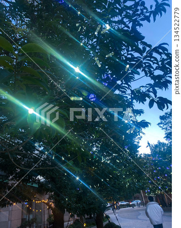 A shining light in winter A shining light in winter 134522779