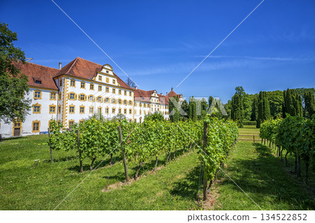 Castle and vineyard  134522852