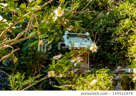 A small shrine surrounded by greenery 134522874