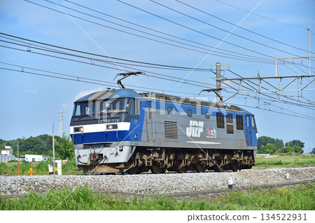 高崎線岡部本莊JR貨運EF210-116（新鶴見） 134522931