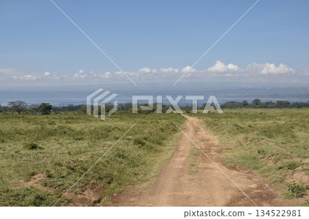 Kenya Safari: The vast natural scenery of Lake Nakuru National Park Kenya Safari: The vast natural scenery of Lake Nakuru National Park 134522981