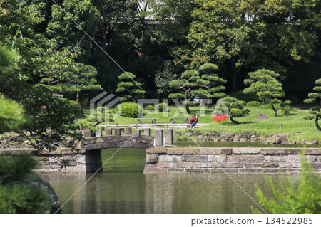 Stone bridge and pond at Kyu-Shiba Rikyu Gardens | Greenery and tranquil moments in a Japanese garden 134522985